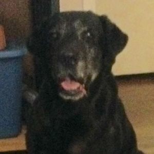 Meet your Posher, Rickey dean